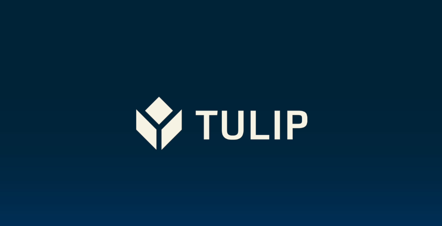 Tulip MCP Server
